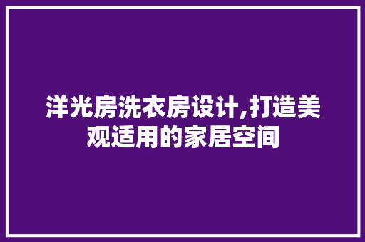 洋光房洗衣房设计,打造美观适用的家居空间