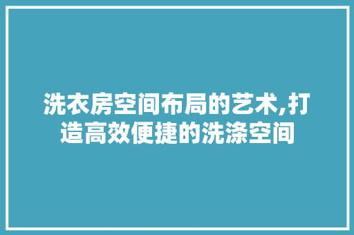 洗衣房空间布局的艺术,打造高效便捷的洗涤空间