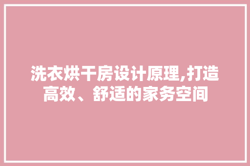 洗衣烘干房设计原理,打造高效、舒适的家务空间