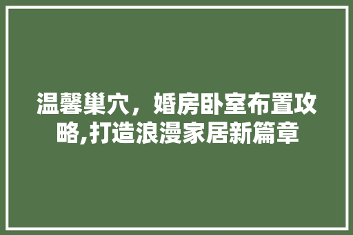 温馨巢穴，婚房卧室布置攻略,打造浪漫家居新篇章