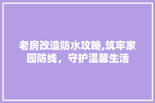 老房改造防水攻略,筑牢家园防线，守护温馨生活
