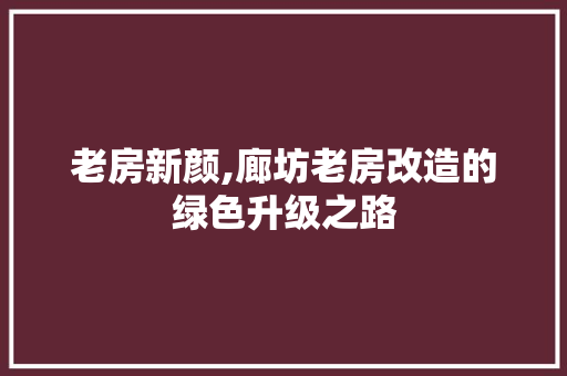 老房新颜,廊坊老房改造的绿色升级之路