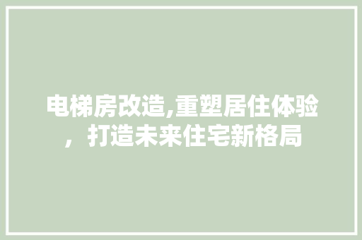 电梯房改造,重塑居住体验，打造未来住宅新格局