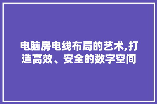 电脑房电线布局的艺术,打造高效、安全的数字空间