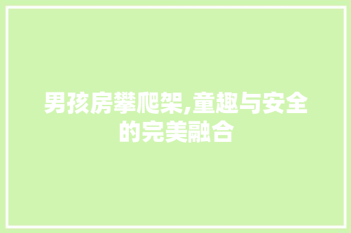 男孩房攀爬架,童趣与安全的完美融合
