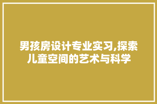 男孩房设计专业实习,探索儿童空间的艺术与科学