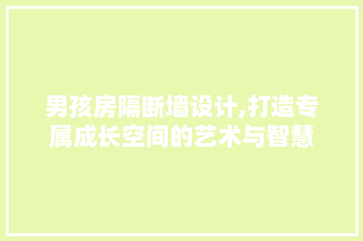 男孩房隔断墙设计,打造专属成长空间的艺术与智慧