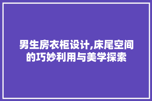 男生房衣柜设计,床尾空间的巧妙利用与美学探索