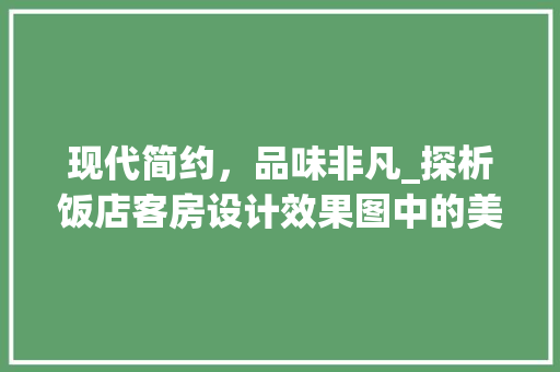 现代简约，品味非凡_探析饭店客房设计效果图中的美学魅力