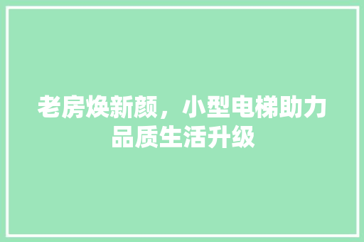 老房焕新颜，小型电梯助力品质生活升级