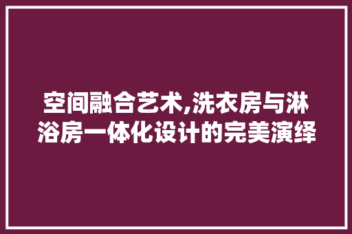空间融合艺术,洗衣房与淋浴房一体化设计的完美演绎