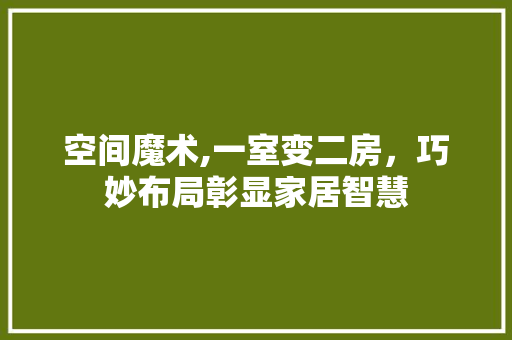 空间魔术,一室变二房，巧妙布局彰显家居智慧