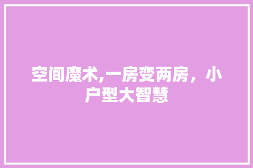 空间魔术,一房变两房，小户型大智慧