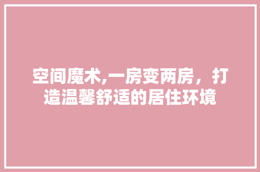 空间魔术,一房变两房，打造温馨舒适的居住环境