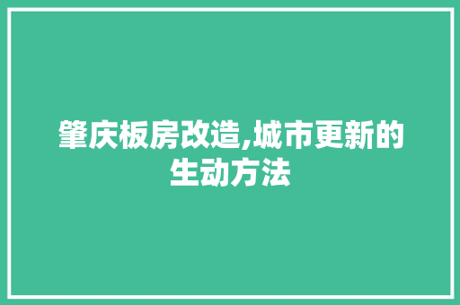 肇庆板房改造,城市更新的生动方法