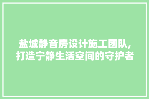盐城静音房设计施工团队,打造宁静生活空间的守护者