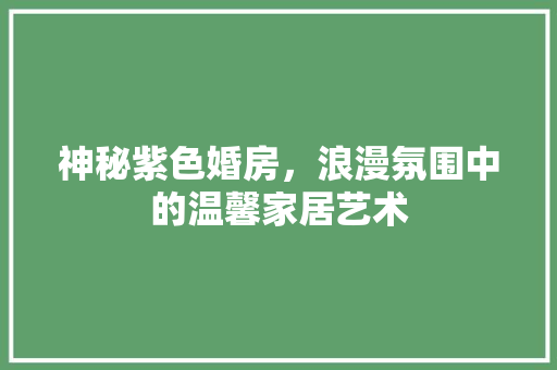 神秘紫色婚房，浪漫氛围中的温馨家居艺术