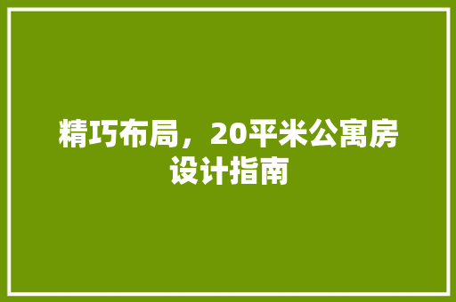 精巧布局，20平米公寓房设计指南