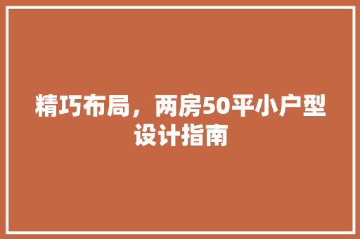 精巧布局，两房50平小户型设计指南