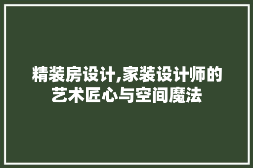 精装房设计,家装设计师的艺术匠心与空间魔法