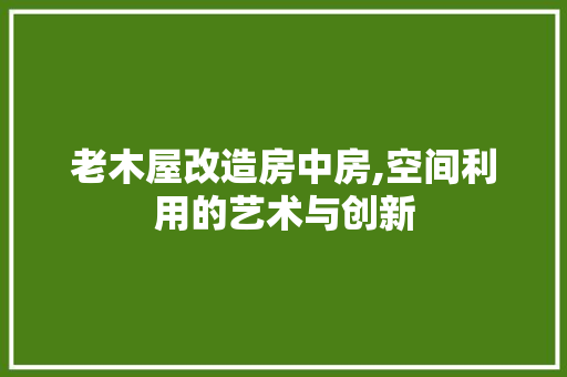 老木屋改造房中房,空间利用的艺术与创新