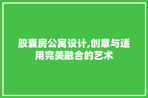 胶囊房公寓设计,创意与适用完美融合的艺术