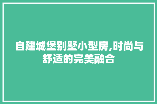 自建城堡别墅小型房,时尚与舒适的完美融合