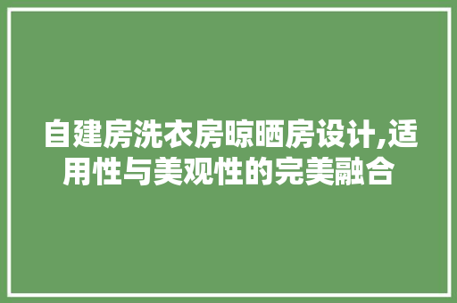 自建房洗衣房晾晒房设计,适用性与美观性的完美融合