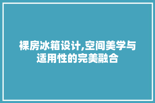 裸房冰箱设计,空间美学与适用性的完美融合