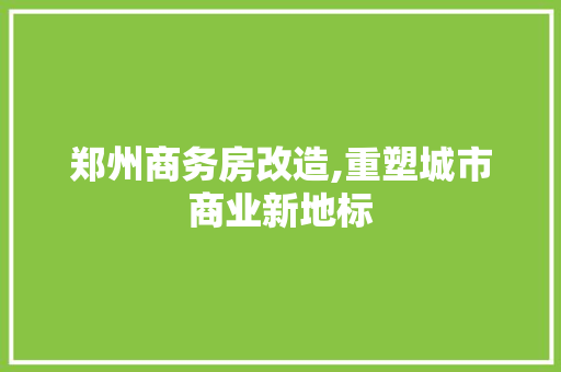 郑州商务房改造,重塑城市商业新地标