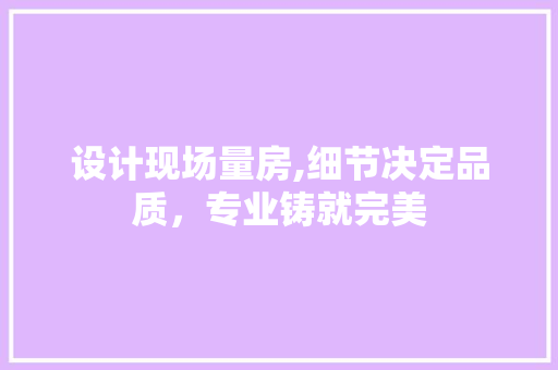 设计现场量房,细节决定品质，专业铸就完美