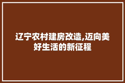 辽宁农村建房改造,迈向美好生活的新征程