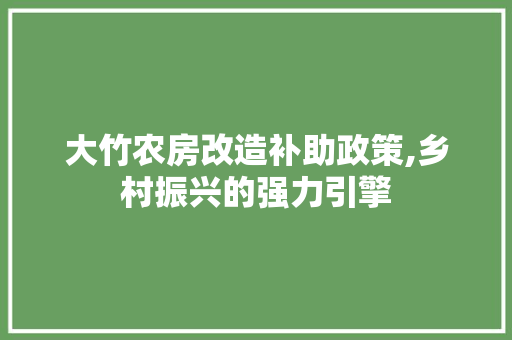 大竹农房改造补助政策,乡村振兴的强力引擎