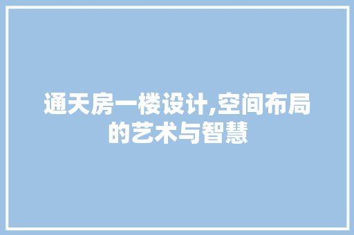 通天房一楼设计,空间布局的艺术与智慧