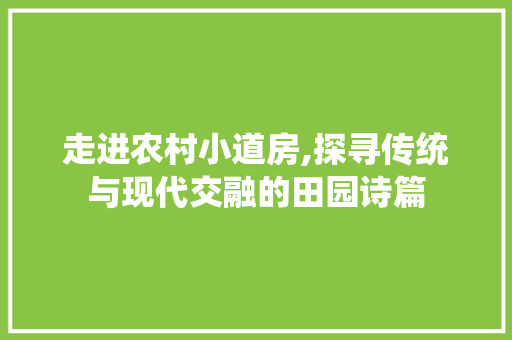 走进农村小道房,探寻传统与现代交融的田园诗篇