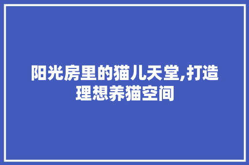 阳光房里的猫儿天堂,打造理想养猫空间