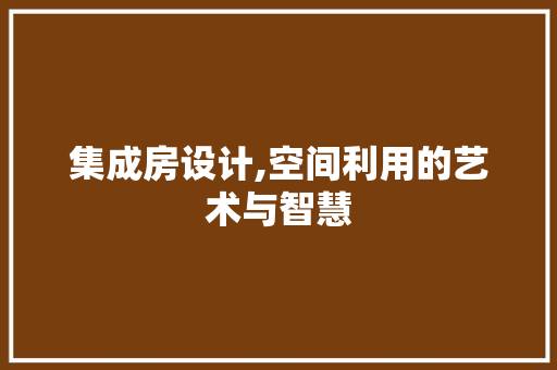 集成房设计,空间利用的艺术与智慧