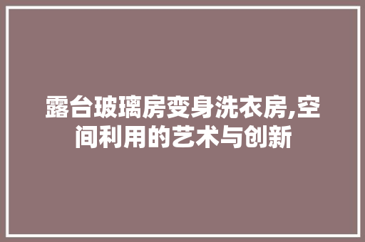 露台玻璃房变身洗衣房,空间利用的艺术与创新
