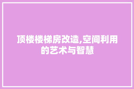 顶楼楼梯房改造,空间利用的艺术与智慧