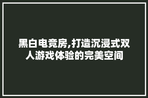 黑白电竞房,打造沉浸式双人游戏体验的完美空间