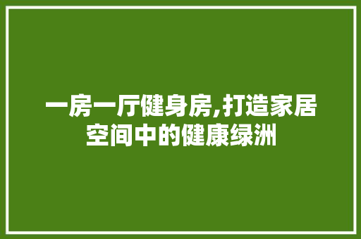 一房一厅健身房,打造家居空间中的健康绿洲