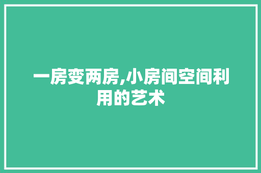 一房变两房,小房间空间利用的艺术