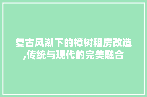 复古风潮下的樟树租房改造,传统与现代的完美融合