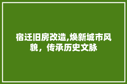宿迁旧房改造,焕新城市风貌，传承历史文脉