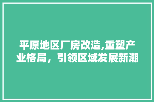 平原地区厂房改造,重塑产业格局，引领区域发展新潮流