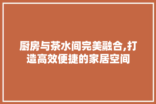 厨房与茶水间完美融合,打造高效便捷的家居空间