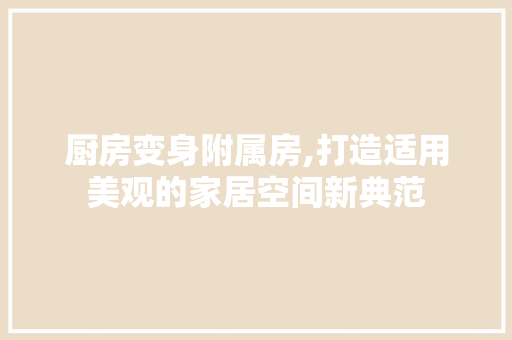 厨房变身附属房,打造适用美观的家居空间新典范