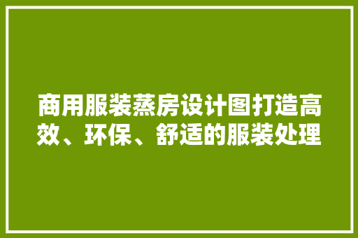 商用服装蒸房设计图打造高效、环保、舒适的服装处理空间