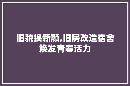 旧貌换新颜,旧房改造宿舍焕发青春活力