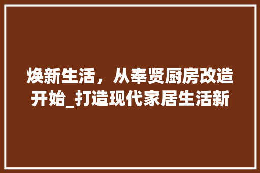 焕新生活，从奉贤厨房改造开始_打造现代家居生活新篇章